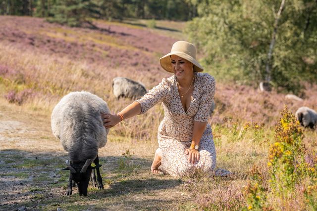 /upload/thumbnail1/2024/8/20/124005/thumb2