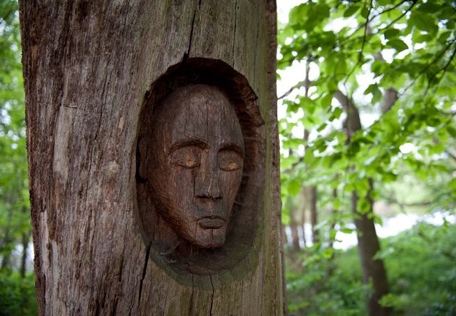 Skulpturenpfad im Naturraum Ilmenau (Streckenweg 4,7 km) Lüneburger Heide