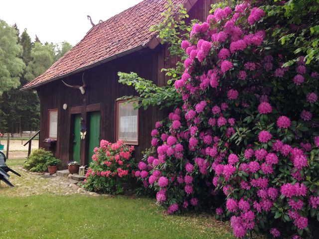 Pit Winandy Reiterhof Winandy Ferienhaus