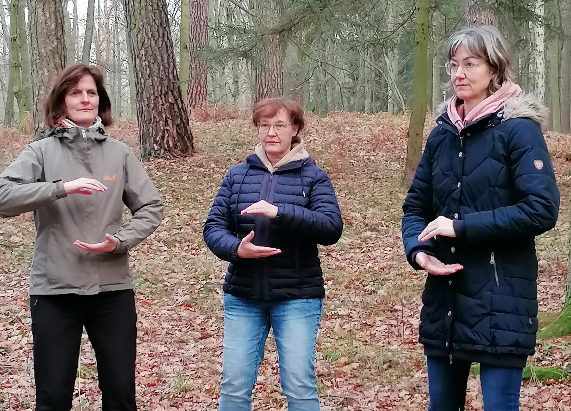 Waldbaden – Deine Auszeit in der Natur
