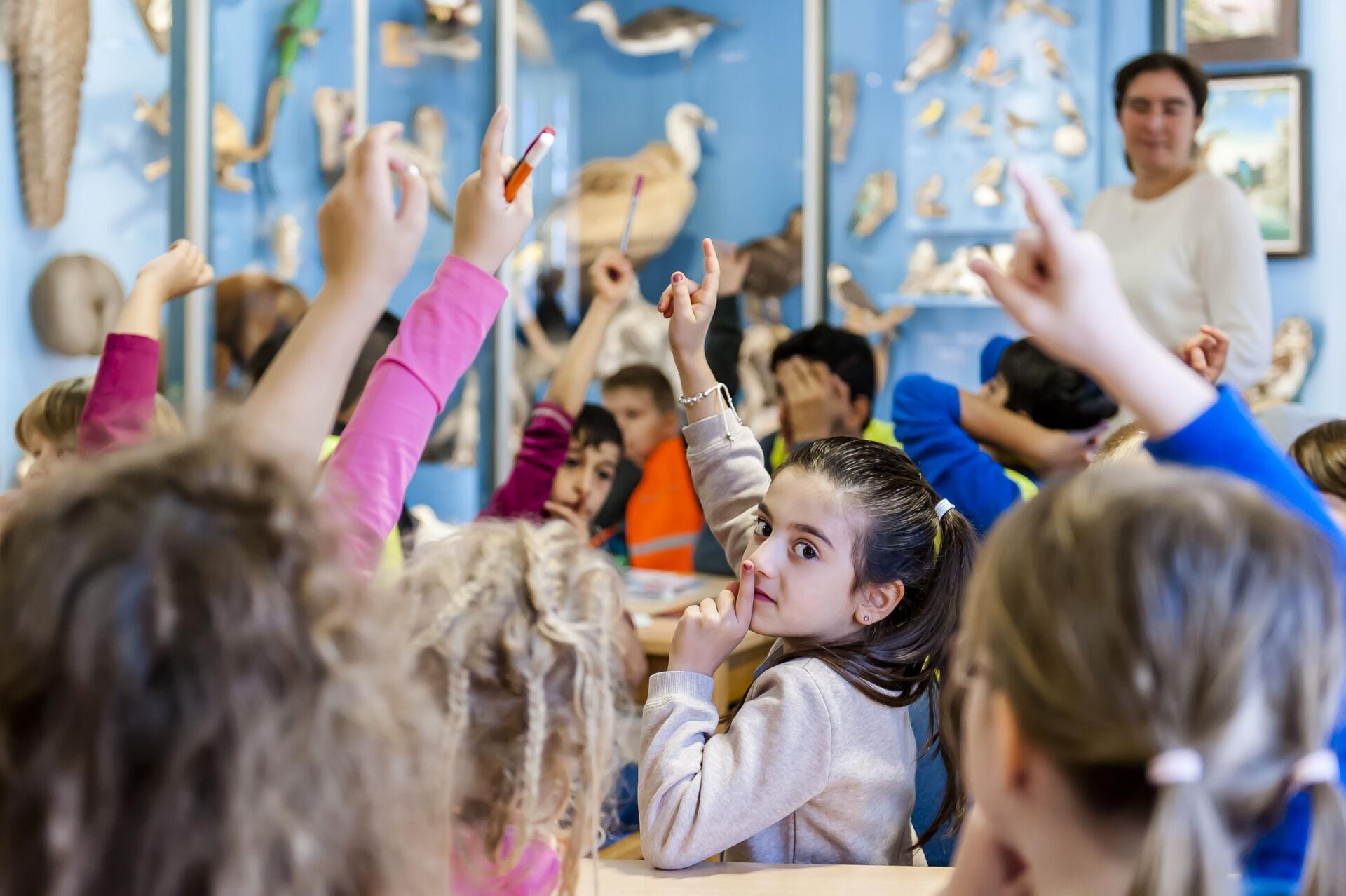 Bundesweiter Vorlesetag - Lesung für Kitas und Grundschulen im Museum