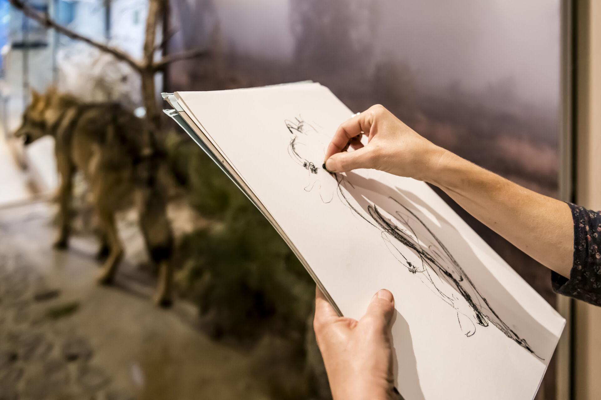Skizzieren und Aquarellieren im Museum