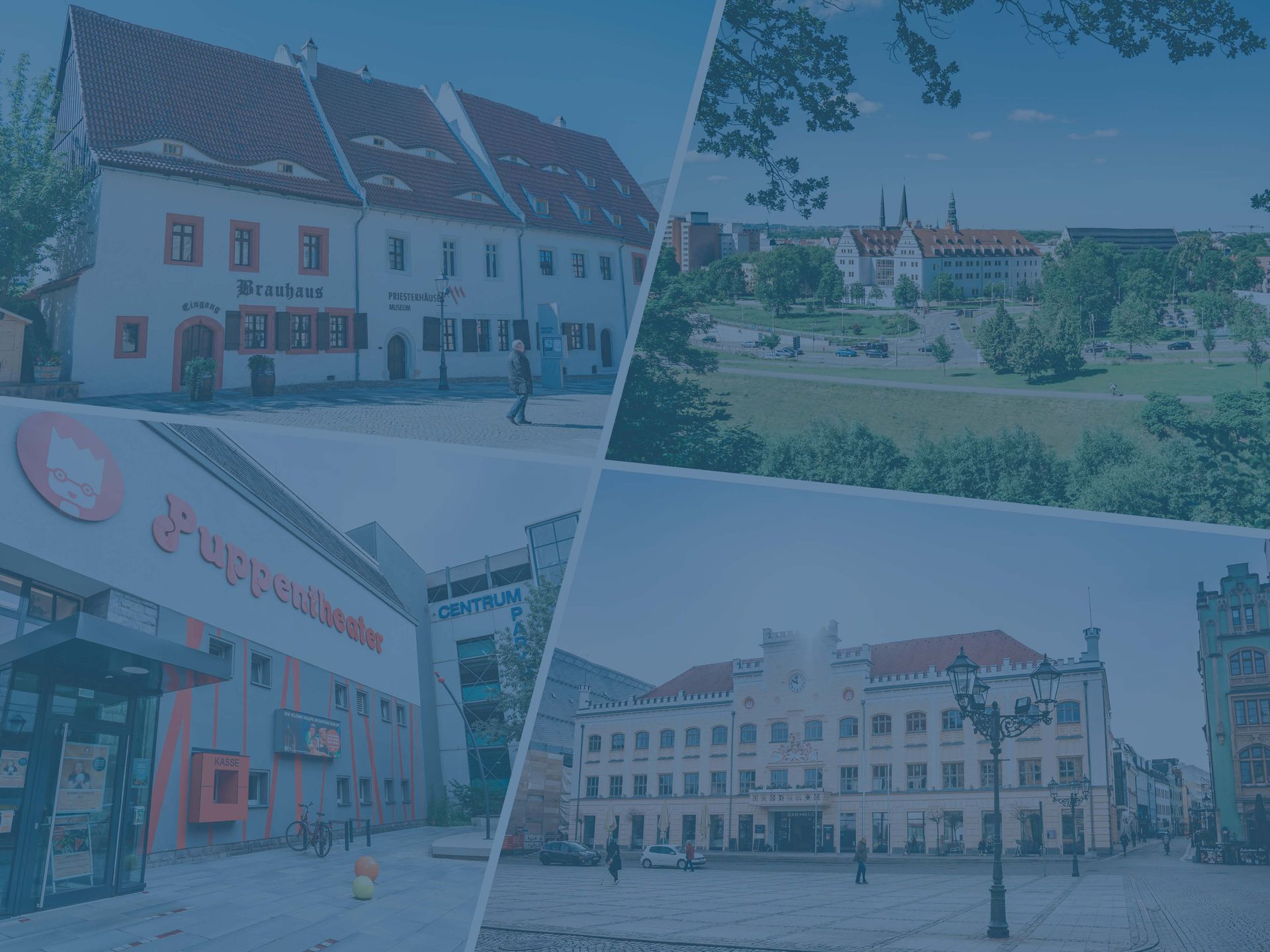 Quelle: Oliver Göhler veranstaltung_zwickau.jpg (Quelle: Oliver Göhler)