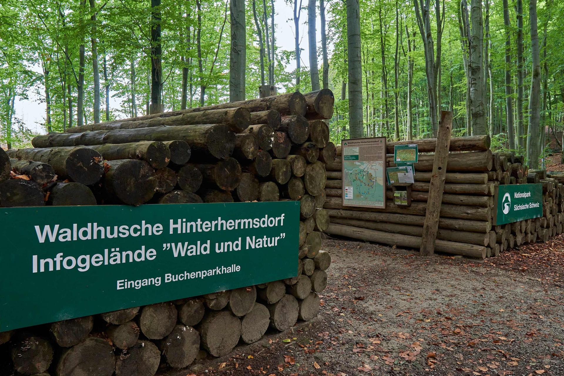 Waldhusche Hinterhermsdorf (Quelle: TVSSW, Yvonne Brückner) Waldhusche Hinterhermsdorf (Quelle: TVSSW, Yvonne Brückner)