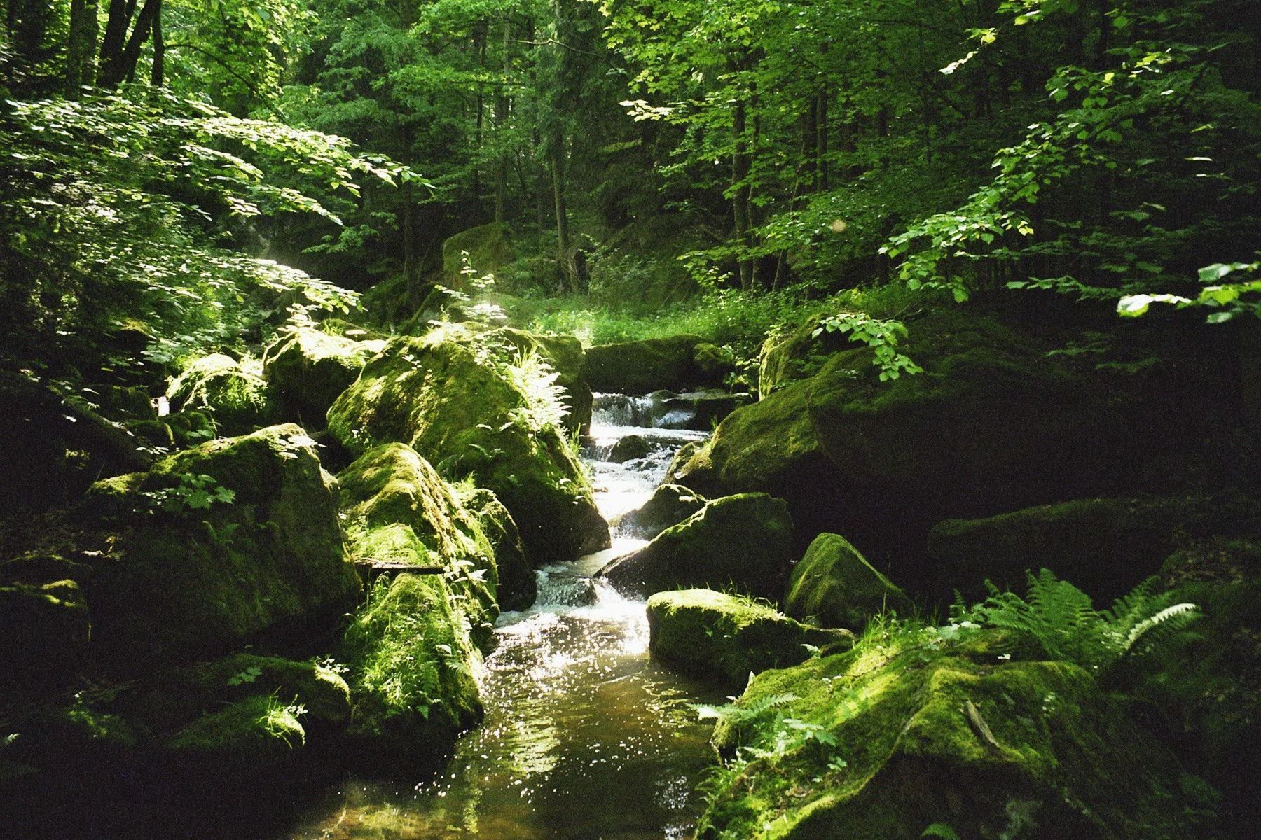 Forellensteig (Quelle: Kastl) Forellensteig (Quelle: Kastl)