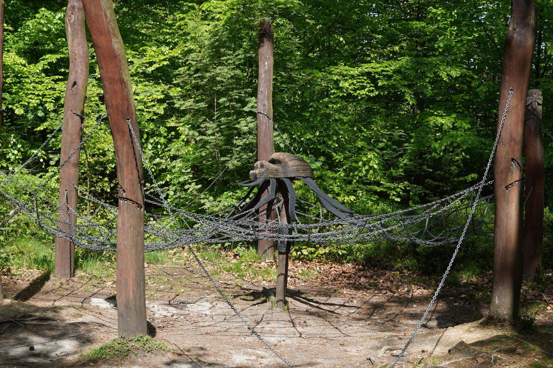 Das Spinnennetz, eine Kletterstation im Freigelände Waldhusche (Quelle: Amrei Voigt (NLPFV), Nationalpark Sächsische Schweiz) Das Spinnennetz, eine Kletterstation im Freigelände Waldhusche (Quelle: Amrei Voigt (NLPFV), Nationalpark Sächsische Schweiz)