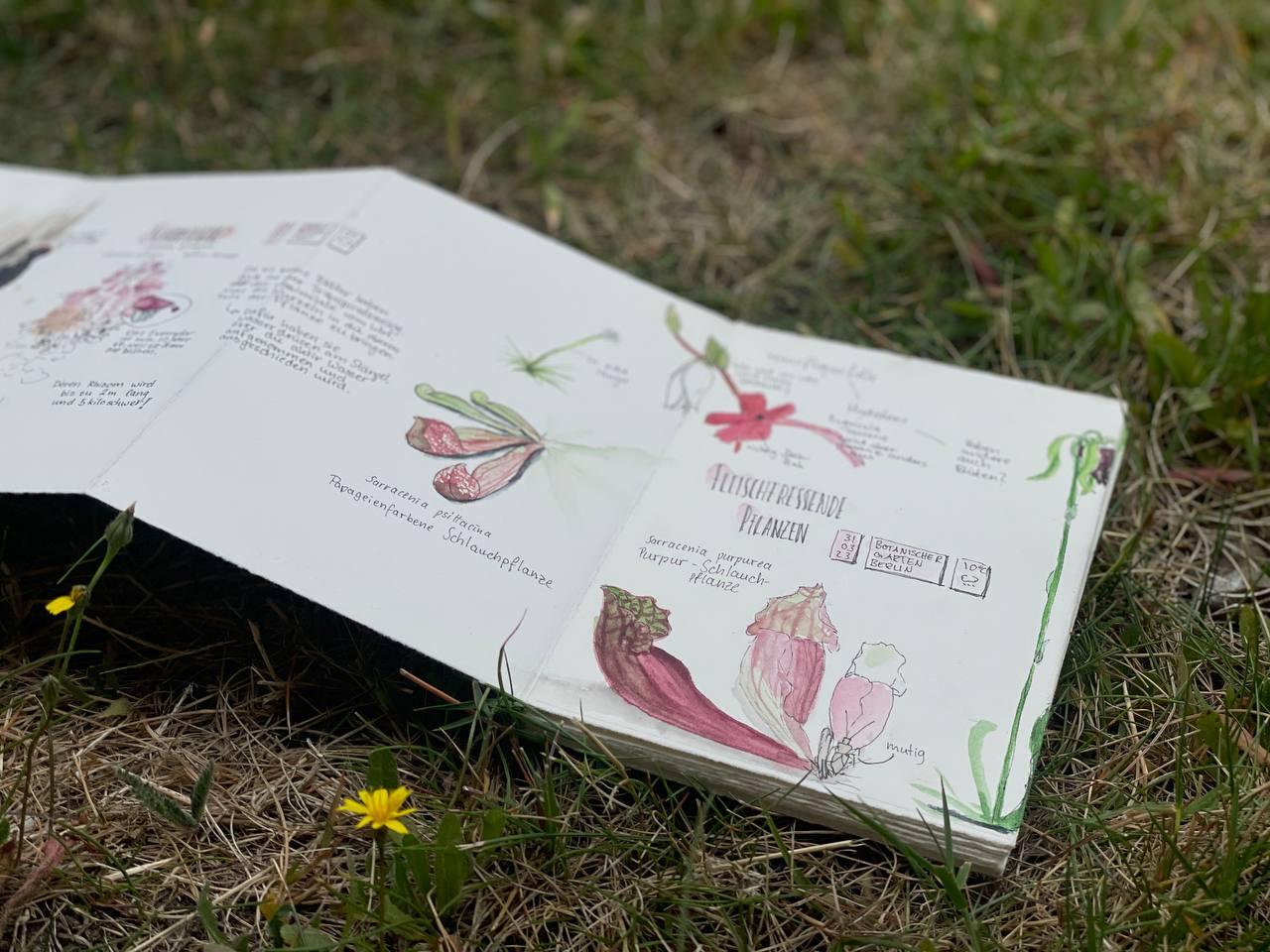 Nature Journaling - mit Papier und Stift die Natur erkunden