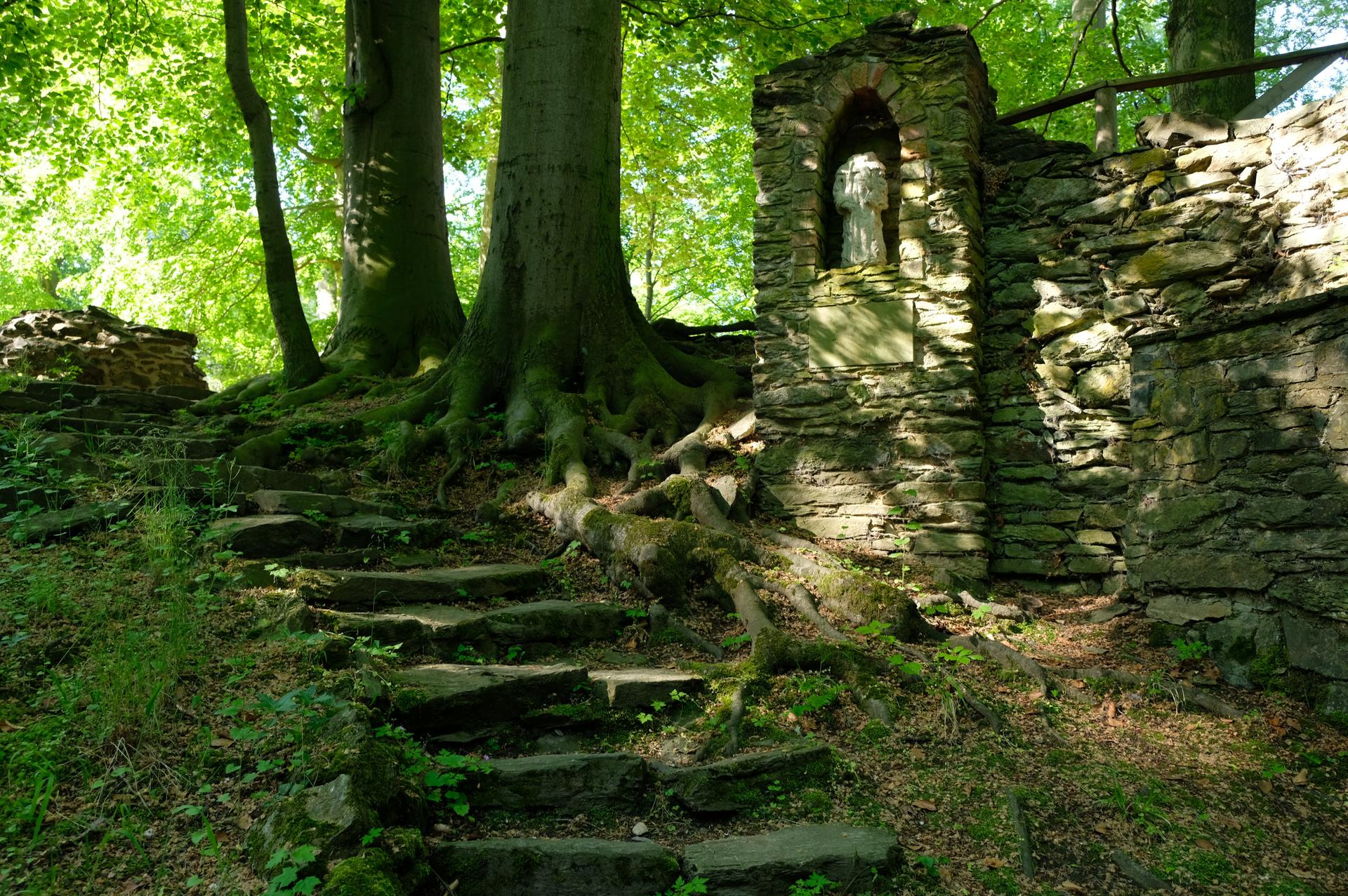 Klosterpark Altzella_Parktreppe_(c)Juliane Schikade_CC BY.JPG (Quelle: Heimat- und Verkehrsverein Klosterpark Altzella_Parktreppe_(c)Juliane Schikade_CC BY.JPG (Quelle: Heimat- und Verkehrsverein