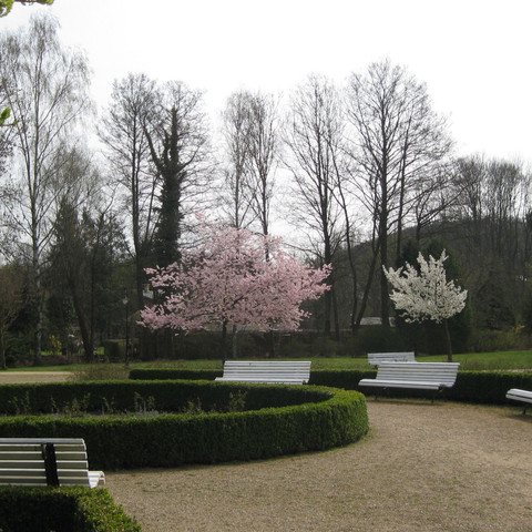 Schlosspark im Frühling