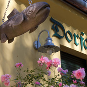 Löcknitz-Forelle - Fischrestaurant Dorfaue in Schöneiche