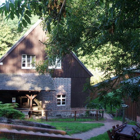 Schwerzkoer Mühle