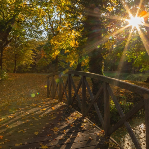 Brücke im Herbst (c) TMB Fotoarchiv S. Lehmann