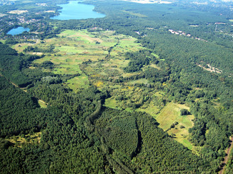 Luftbild Lange Dammwiesen 