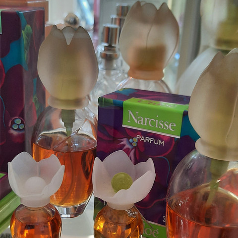 Parfum Narcisse