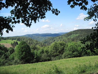 Blick ins Wolfsbachtal