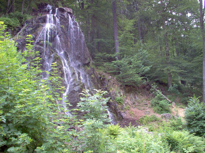 Der Radautal-Wasserfall.