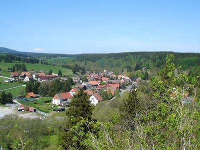 Blick von der Ruine Königsburg auf den Harzort Königshütte