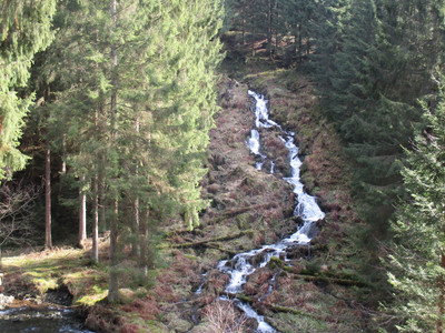 Der Grumbacher Wasserfall 