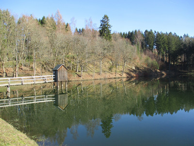 Der Carler Teich mit einer alten Striegelanlage