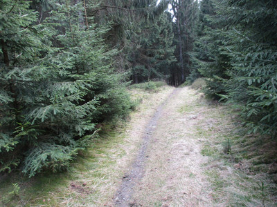 Trail hinab ins Innerstetal 