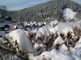 Wildemann im Winter