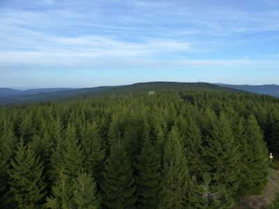 Blick von der Hanskühnenburg über den Höhenzug 'Auf dem Acker'