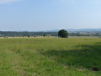 Blick von Langelsheim nach Norden