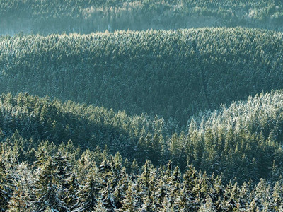 Winter Oben im Harz