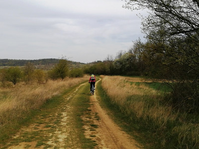 Wiesenweg durch das Landschaftsschutzgebiet zwischen Börnecke und Halberstadt