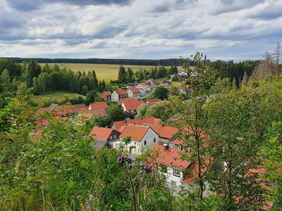 Blick über Tanne - Harzer-Höhenvieh Pfad