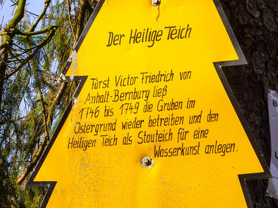 Dennert-Tanne am Heiligen Teich