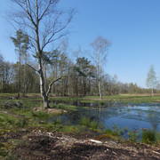 Landschaft im Ahlenmoor
