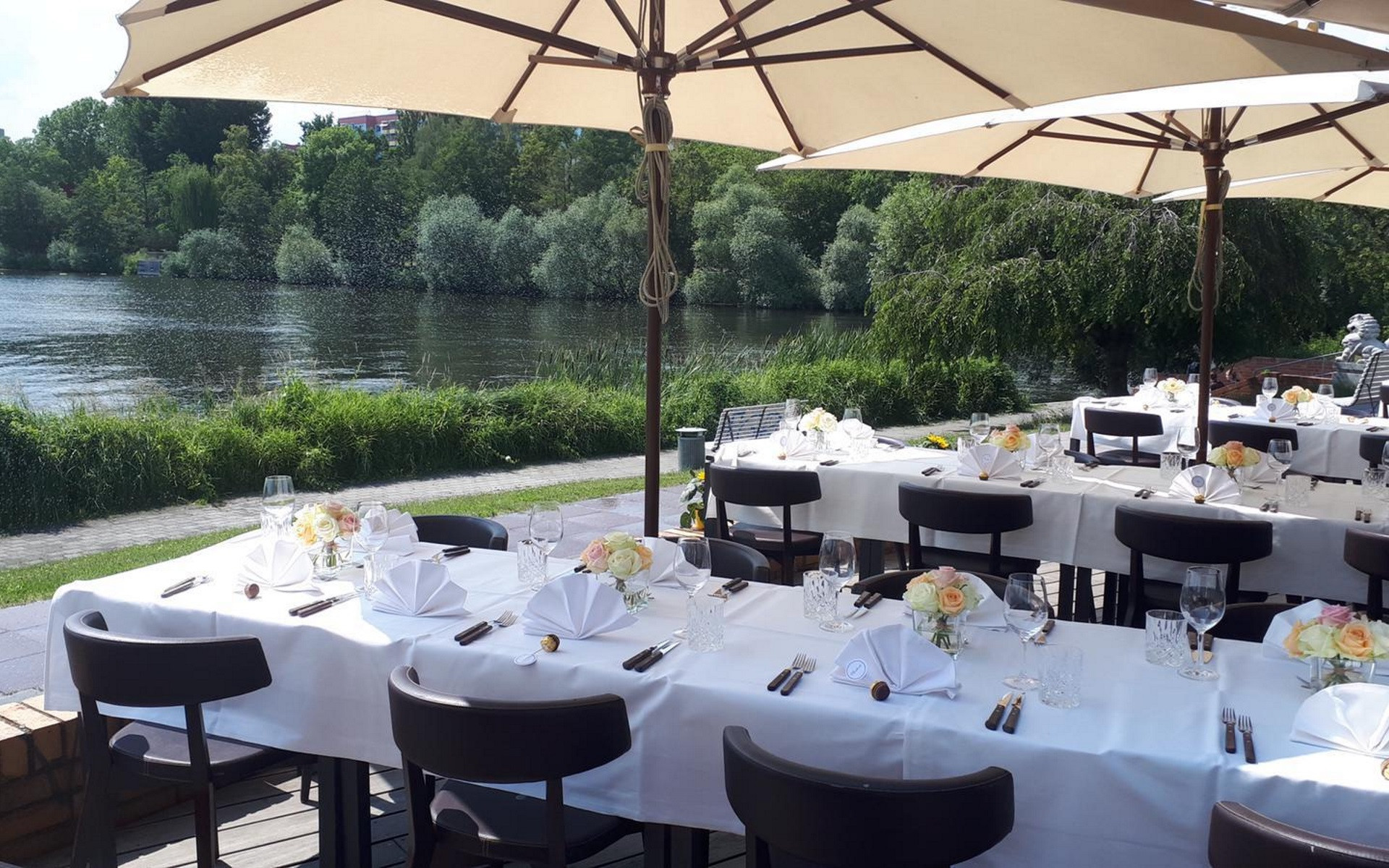 Die Seerose In Der Neust dter Havelbucht Potsdam die-seerose-in-der-neust-dter-havelbucht-potsdam