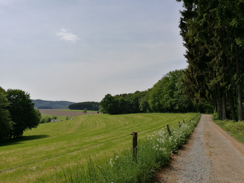 Wirtschaftsweg bei Lindlar-Linde