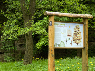 Buddenberg-Arboretum