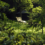 Buddenberg-Arboretum