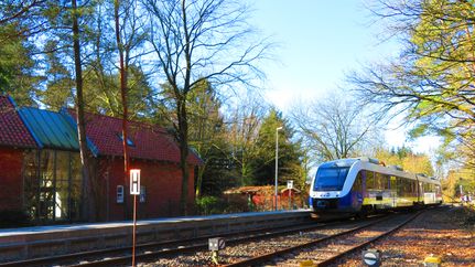 Bahnhof Heinschenwalde