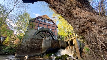 Historische Wassermühle in Stuckenborstel