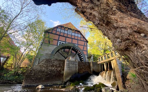 Historische Wassermühle in Stuckenborstel