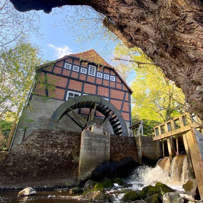 Historische Wassermühle in Stuckenborstel