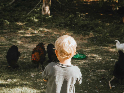 Harzverbunden Waldquartier in Bad Grund - Kind mit Hühnern