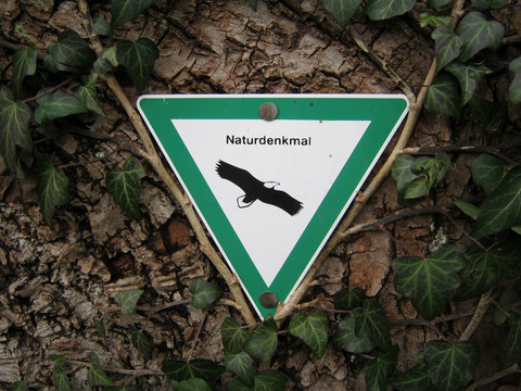 Naturdenkmal-Schild an der Kaiserlinde