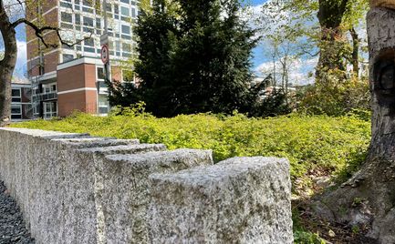 Werderpark_Peine_1.jpg