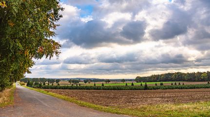 Die Weite der Geest "erfahren" auf der Geest-Route