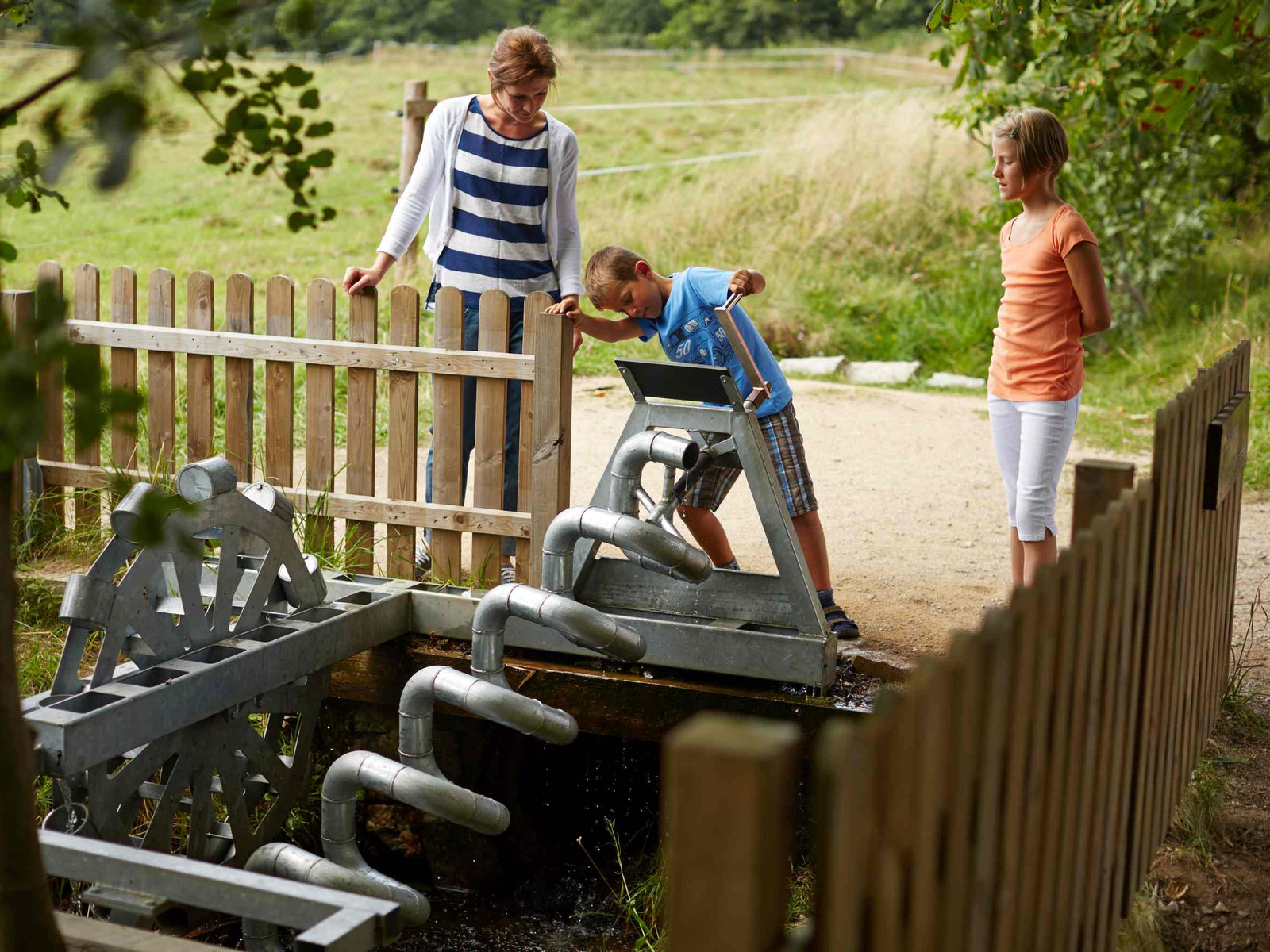 Löwenzahn Wasserstation