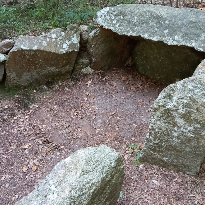 Historisches Großsteingrab im Eichholz Brillit