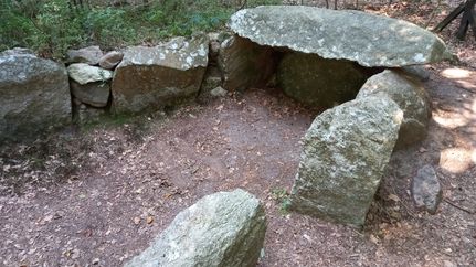 Historisches Großsteingrab im Staatsforst Eichholz