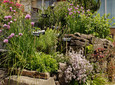 Mostra giardino all'Haaner Gartenlust ad Haan