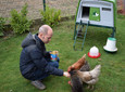 Hühnervermietung Mein Huhn – Dein Huhn