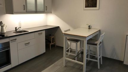 Moderne Küche in der Ferienwohnung Hof Ehrichs Kuhstedt